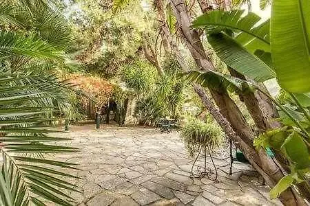 Gocce - Coral Di Lusso 1950 * Capri