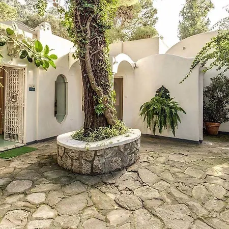 Gocce - Coral Di Lusso 1950 Капри